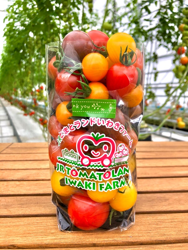 【石巻・仙台発】旅のすごろく市6月 トマト尽くし!トマトコースランチトマト狩りとあぶくまラベンダー(日帰り)3